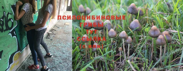 соль курить ск Аркадак