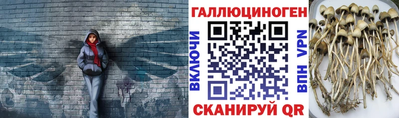 Псилоцибиновые грибы ЛСД  Лянтор 